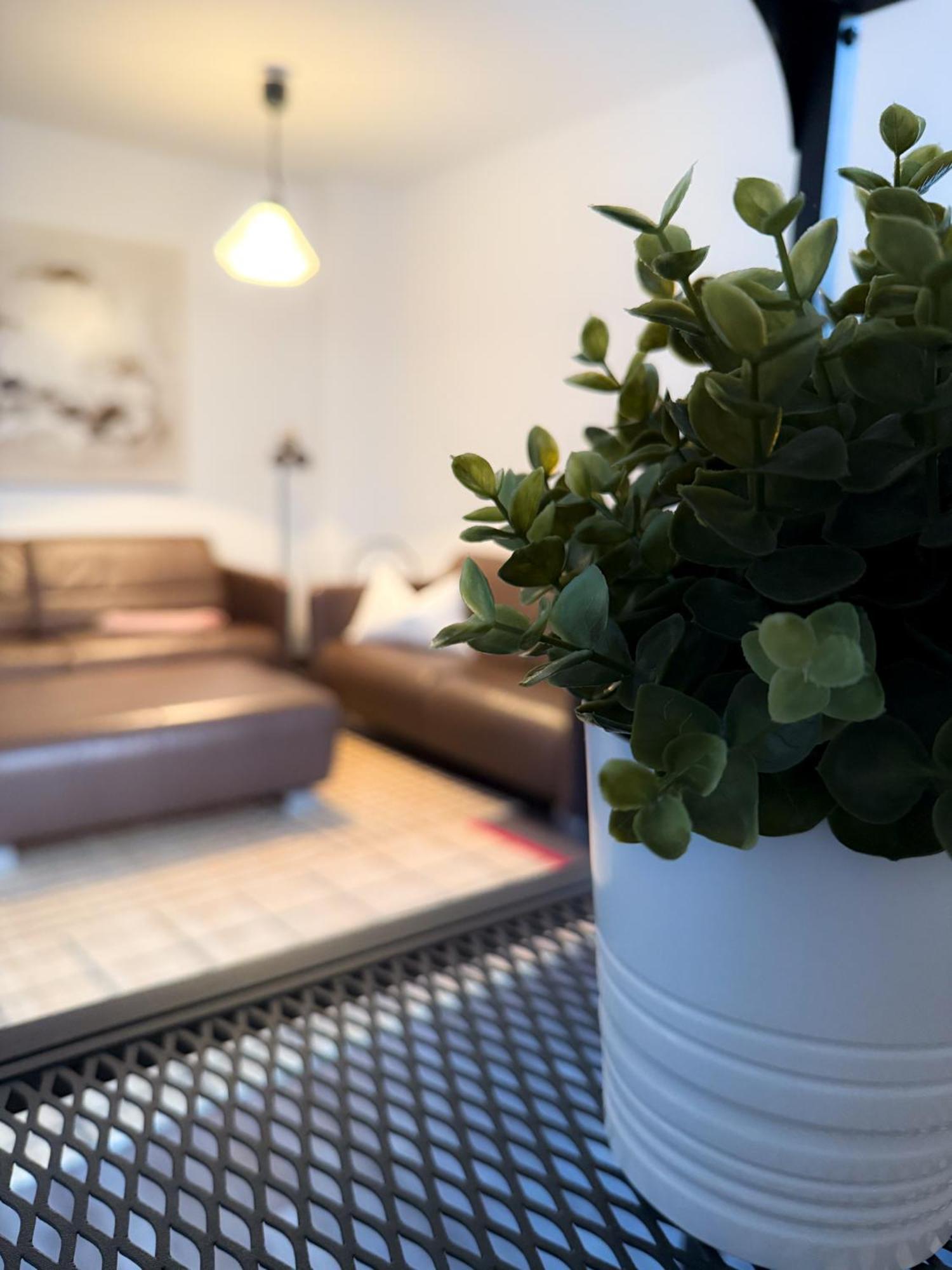Alexxanders Apartments & Studios Chemnitz Szoba fotó